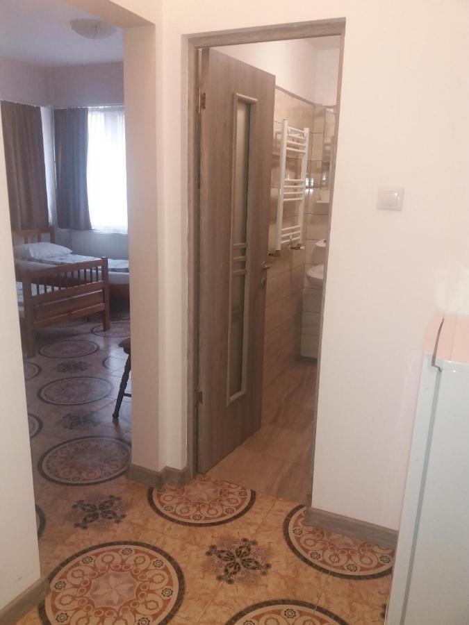 Pensiunea Sydney Тимишоара Екстериор снимка